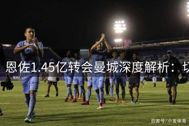 恩佐1.45亿转会曼城深度解析：切尔西套现谁赢了